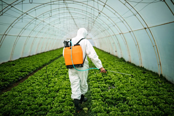 Best Best Pest Control Companies  in Belmond, IA