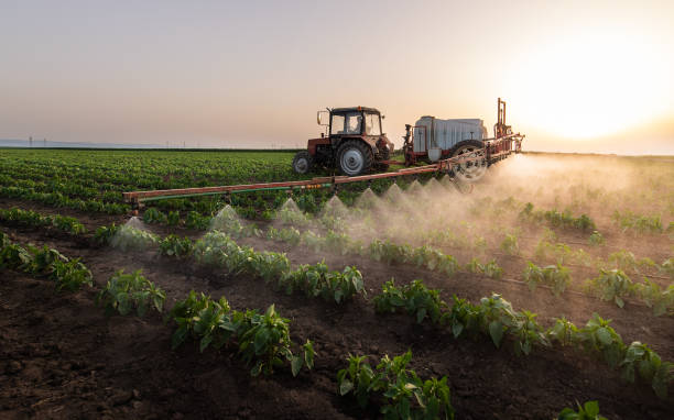 Best Wildlife Control Services  in Belmond, IA