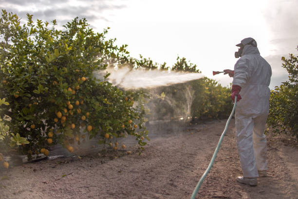Belmond, IA Pest Control Company