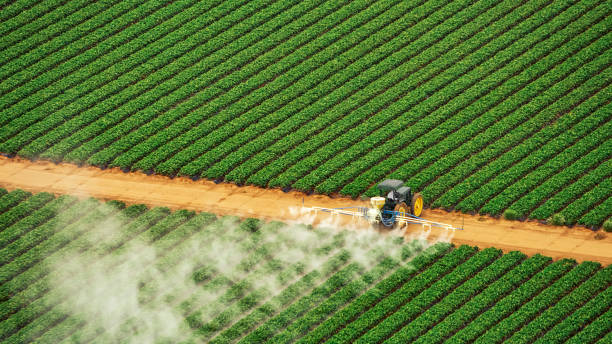 Best Pest Control for Businesses  in Belmond, IA