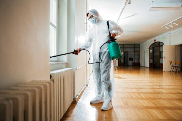 Best Pest Inspection Near Me  in Belmond, IA
